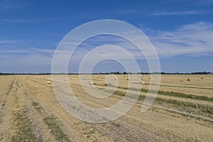 Rround bales in a field