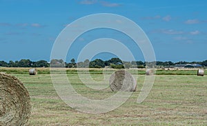 Rround bales in a field