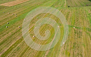 Rround bales in a field