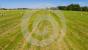 Rround bales in a field