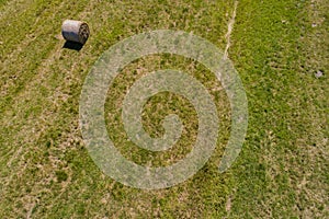 Rround bales in a field