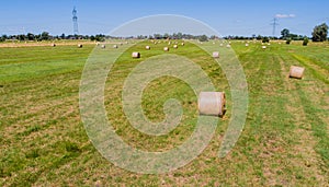 Rround bales in a field