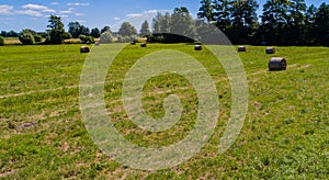 Rround bales in a field