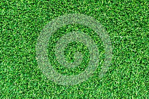 Rtificial green grass texture or green grass background for design.