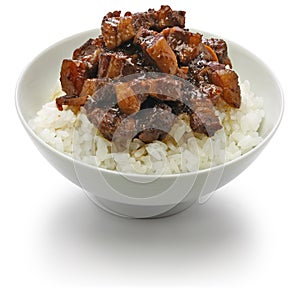 lu rou fan, taiwanese braised pork rice bowl photo