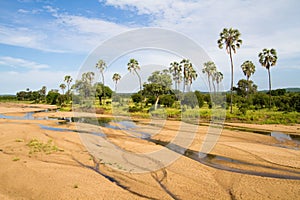 Ruaha riverbed