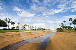 Ruaha scenery