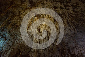 Ruakuri cave in New Zealand