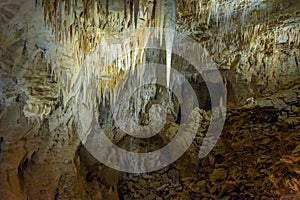 Ruakuri cave in New Zealand