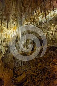 Ruakuri cave in New Zealand