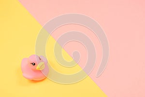 Rubber bath duck on colorful background. Top view on toy rubber duck. Toy play for kid ducky floating.