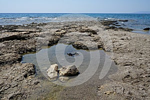 Rubber beach flip-flops float in sea water after low tide on the Mediterranean coast in Pefkos or Pefki, Rhodes island, Greece