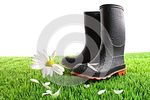 Rubber boots with daisy in grass