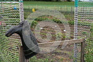 Rubber boots on the garden fence