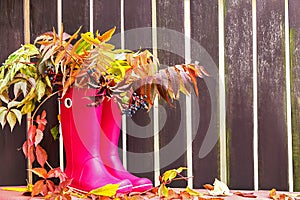 Rubber boots (rainboots) and autumnal leaves are on the wooden empty fence background.