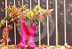 Rubber boots (rainboots) and autumnal leaves are on the wooden fence background with drawing rain drops. photo