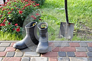 rubber boots stand near the lawn for work on the site