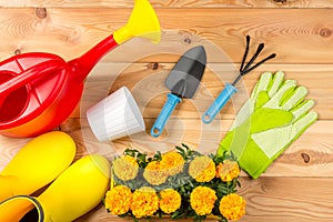 rubber boots, watering can, flowers and gardening tools top view gardening