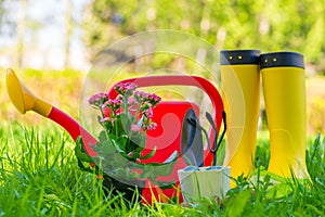 Rubber boots, watering can and gardener`s tools for working in the garden