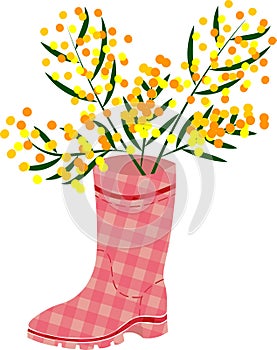Rubber boots Wellies red checkered Wellington boots and mimosa flower
