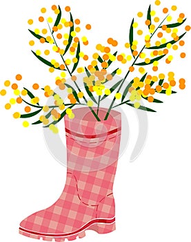 Rubber boots Wellies red checkered Wellington boots and mimosa flower vector