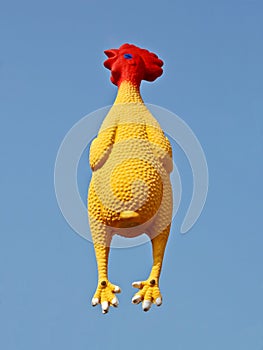 Rubber Chicken