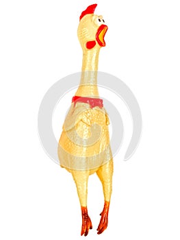 Rubber chicken