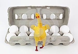 Rubber Chicken with Eggs