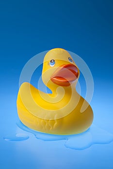 Rubber Duck