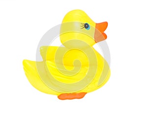 Rubber duck