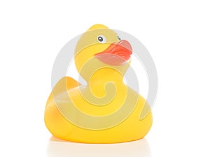 Rubber duck