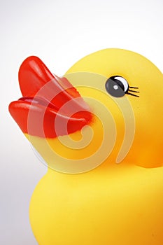 Rubber Duck photo
