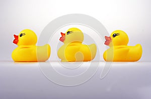 Rubber Duck