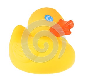 Rubber duck