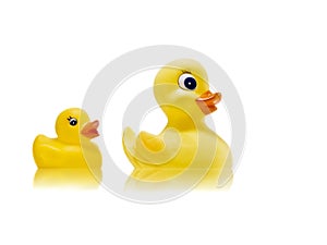 Rubber Duck