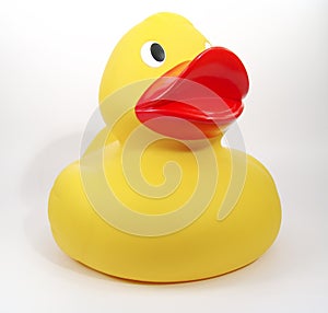 Rubber Duck 2