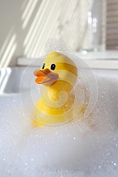 Rubber duck