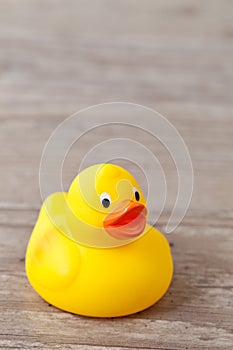 Rubber duck