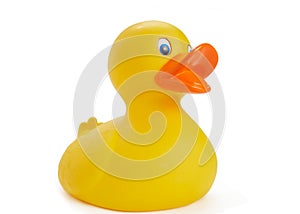 Rubber duck