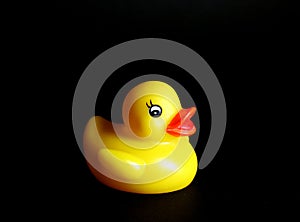 Rubber duck