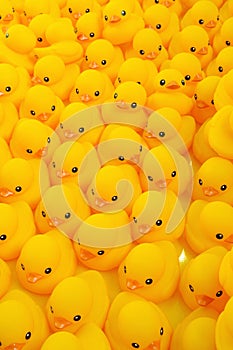 Rubber duck