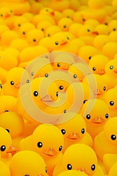 Rubber duck