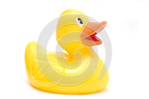 Rubber duck