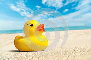 Rubber Duck