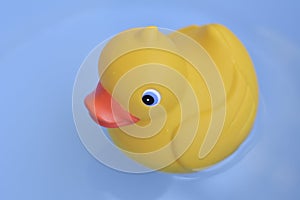 Rubber duck