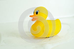 Rubber duck