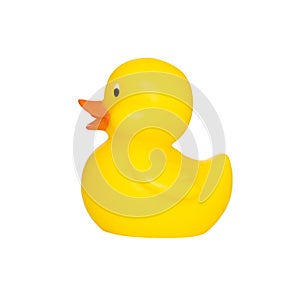 Rubber duck