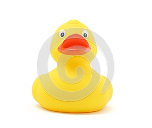 Rubber duck