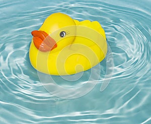 Rubber duck