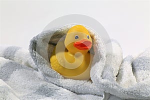 Rubber duck in bath